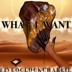 What I Want