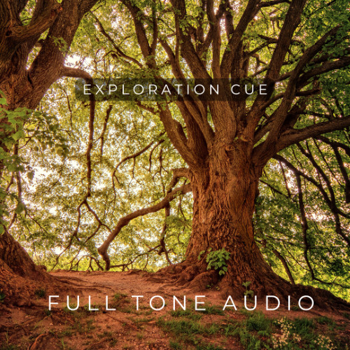 Exploration Cue