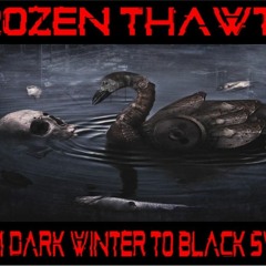 Show sample for 2/16/21: FROZEN THAWTS – FROM DARK WINTER TO BLACK SWAN W/ RICK DUARTE