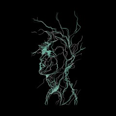 Selcouth - Subtle Realms