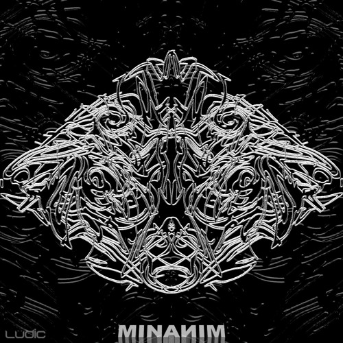 210 - MINAИIM
