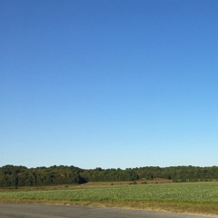 STRUCTURE GLTC.2020 - 04 - 16