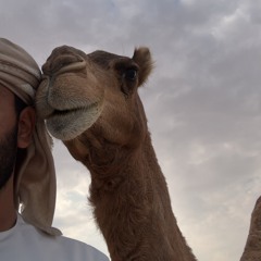 ‎⁨شيلة والله ان الحاكمة تزهى جدادي