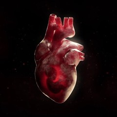 Shallow Cuts • Gh0st EDIT