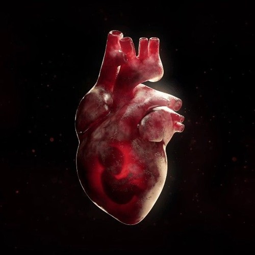 Shallow Cuts • Gh0st EDIT