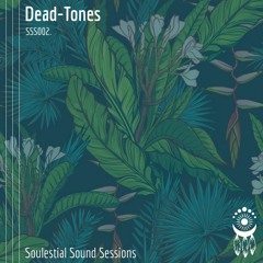SSS002. Dead-Tones - Soulestial Sound Sessions