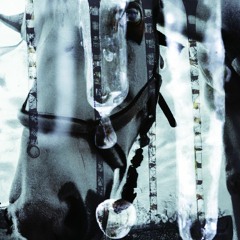[disquiet0568] Hippodream