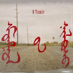 Б.Тамир