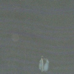 If Not For The Cats Eye - (B-side/demo)