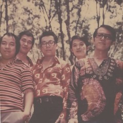 "Gotta Have More Lasers" - Crazy Synth Drum Fills Rock - Singapore, 1970's - SOLD