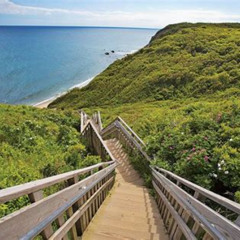 Best Block Island Rhode Snorkeling Prices Reviews