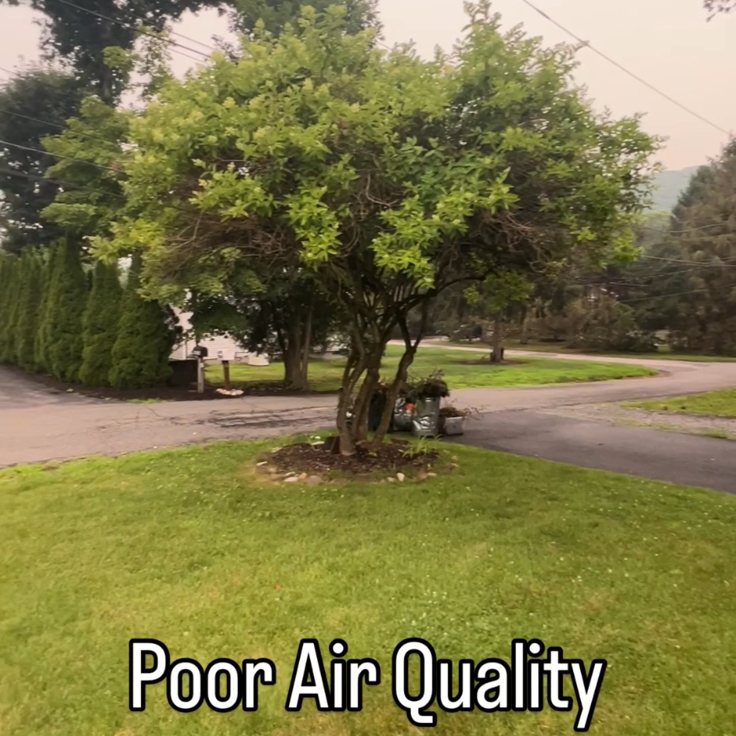 Poor Air Quality & Power Outages episode artwork