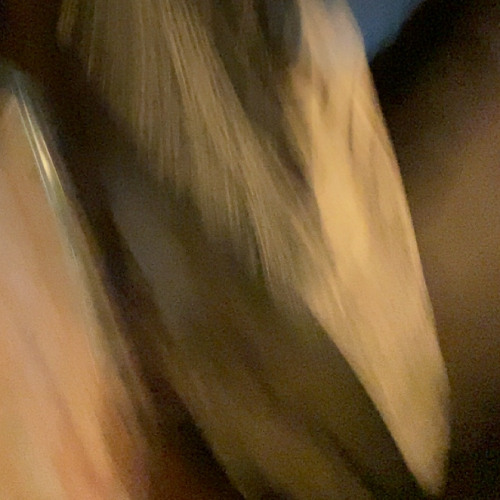 1 AM ViBE