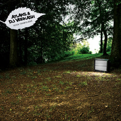 Pimp Din Sjel (feat. DJ Veekash)