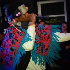 Dinosaur V Neck - Draxian.