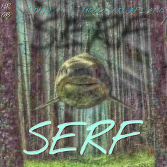 SERF (prod. hoodratlaflare)