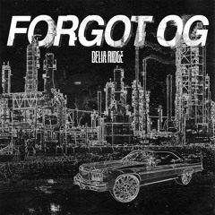 FORGOT OG - DELIA RIDGE (FREE DOWNLOAD)