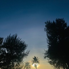 🌴