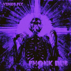 VENUS FLY - PHONK DUB