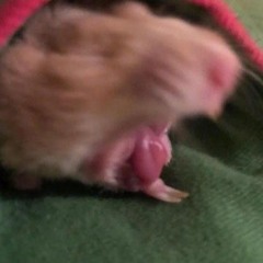 Maxiu - Neck Hurts re-uploaded