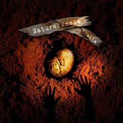 8 - Music Jam Feat. Flavio, Raphael, Raymond Wright - Shakya|NaturalMente