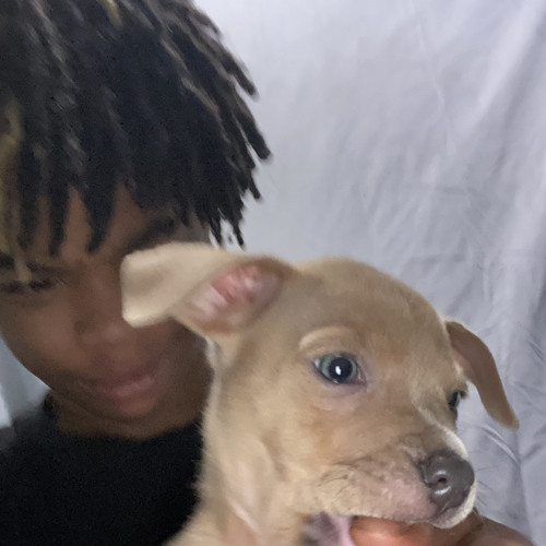 Jmxri - Will/10 [unreleased] (prod. Ddelacrz)