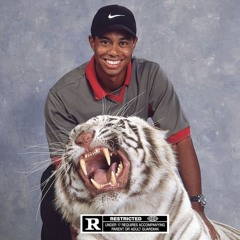 TIGER WOODS + Ethansio