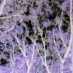 TOMASS - ROSSONERI FREESTYLE