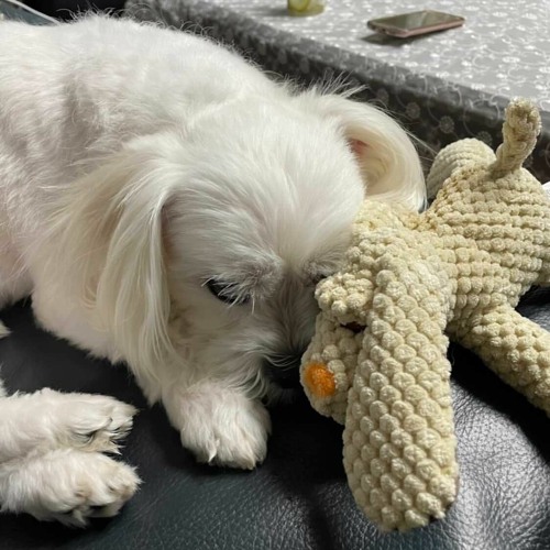 널 좋아해서 좋아해 (feat. YOUNGSOO Prod.Ehtan)