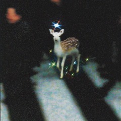 PUNK FUNK LADYLAND (BONUS)