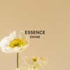 Essence (Indie Surf Rock)
