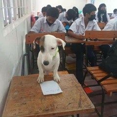 bastatli minimix #1 101222