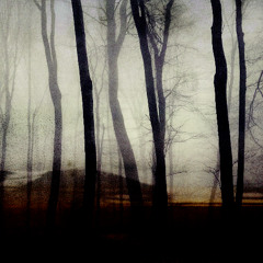 03. Middle of Now Here
