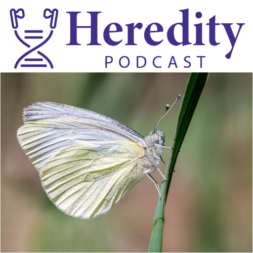 The consequences of invasion