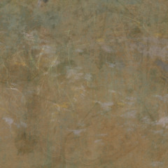 f067 - DJ Birdbath
