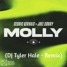 Cedric Gervais & Joel Corry  - MOLLY (DJ Tyler Hale - Remix)
