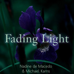 Fading Light