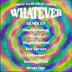 Dikke Baap + Vieze Asbak - WHATEVER (gladde paling Remix)