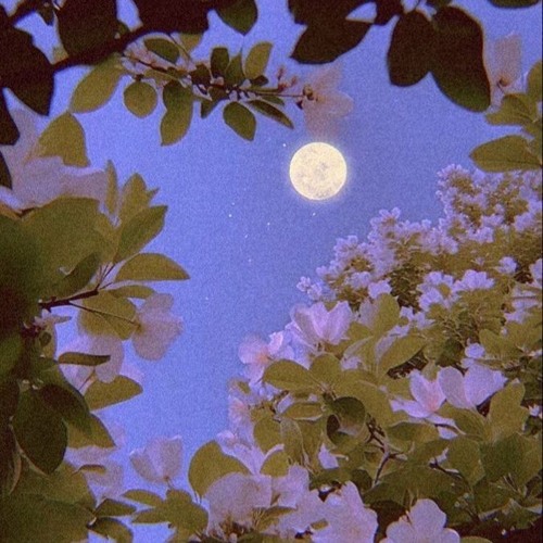 My World Interlude (Shaky Fan) (prod.beatsbyhills)