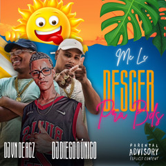 DESCER PRA BDS (( DJ VN DE ACZ & DIEGO)) PIQ 2025