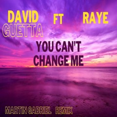 David Guetta Ft Raye  - You Can't Change Me ( Martin Gabriel Remix )