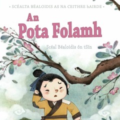An Pota Folamh