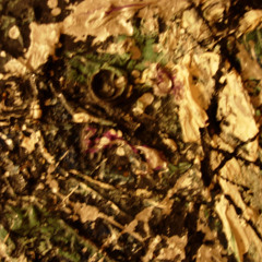 Still I have a dream about the earth