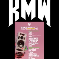 KMW-Speakerbox PT3 Set
