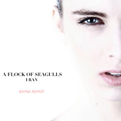 A Flock Of Seagulls - I Ran (Huma Remix)