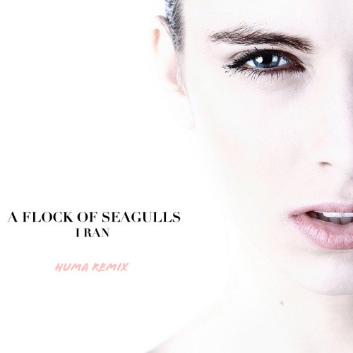 A Flock Of Seagulls - I Ran (Huma Remix)