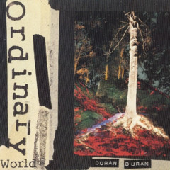 Ordinary World - Duran Duran (Instrumental Cover)