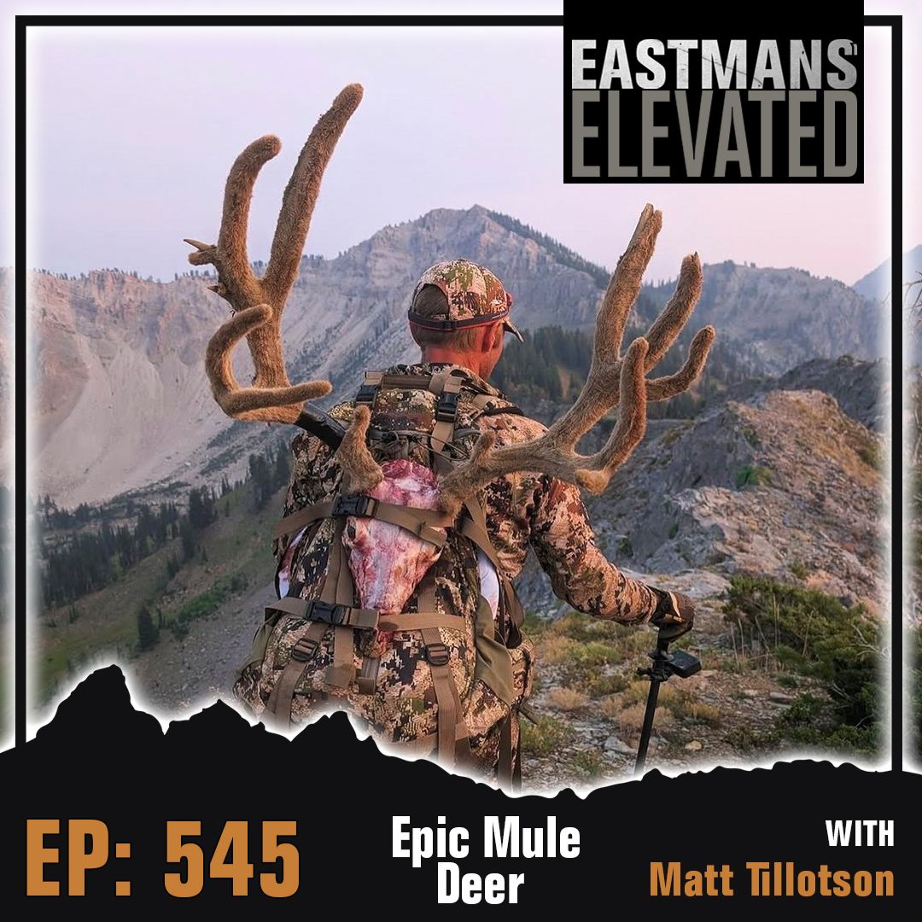 Episode 545:  Epic Mule Deer With Matt Tillotson