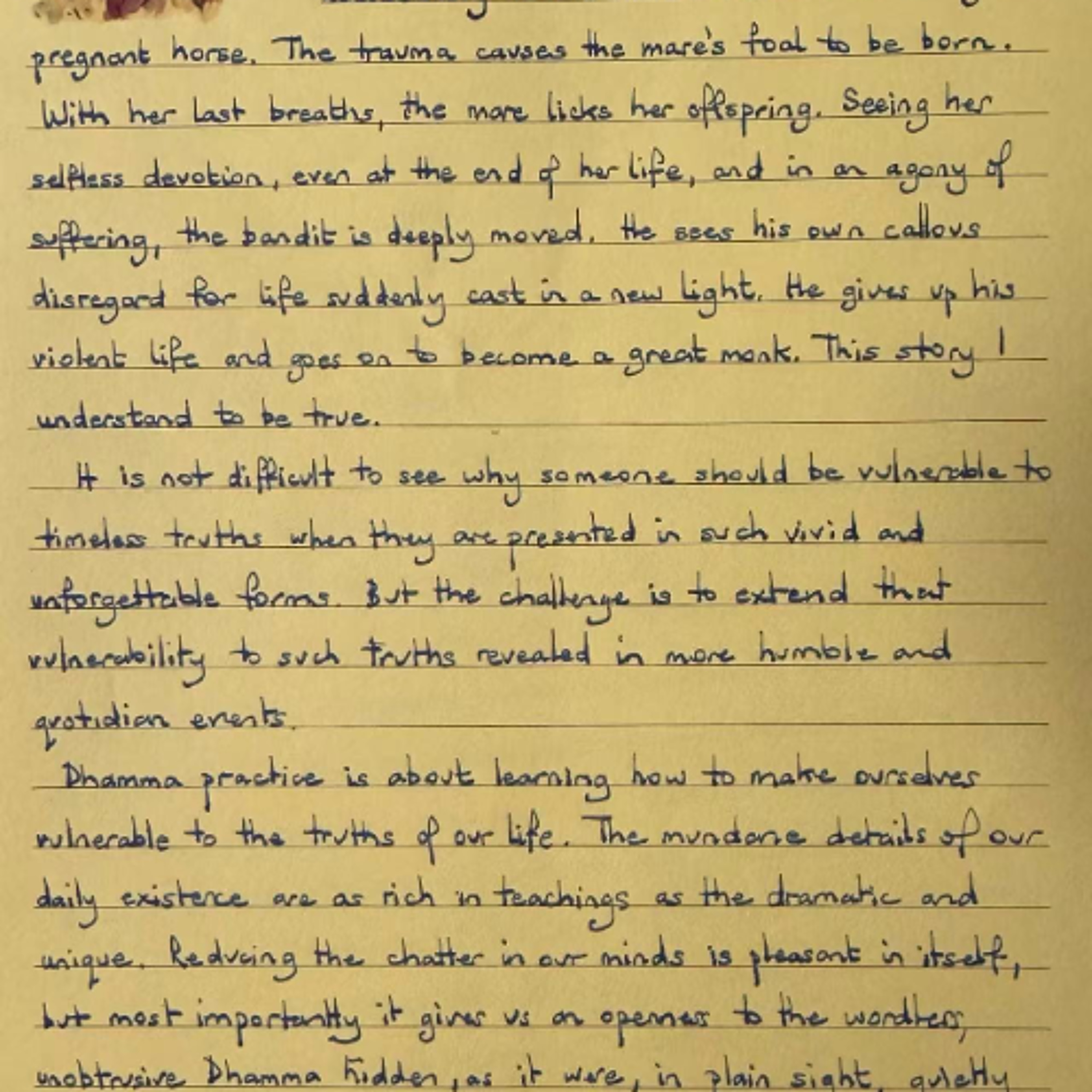 Nutrimento del Cuore - Foglietto Giallo dell'8 novembre 2025 sull'imparare a renderci esposti alle verità della nostra vita