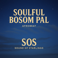 Soulful Bosom Pal #RnB x Afrobeat x Dancehall Fusion